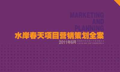 房地产项目营销策划全案 从定位到执行的全景蓝图
